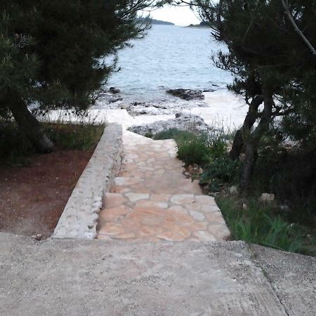 Apartments 4 Dolphins Рогозница Екстериор снимка
